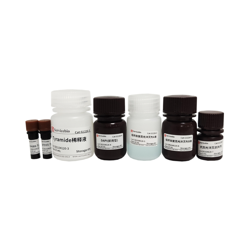 Tsaplus-Fluoreszenz-Doppelfärbung-Kit für doppelte Immunfluoreszenzfärbung von Paraffinabschnitten