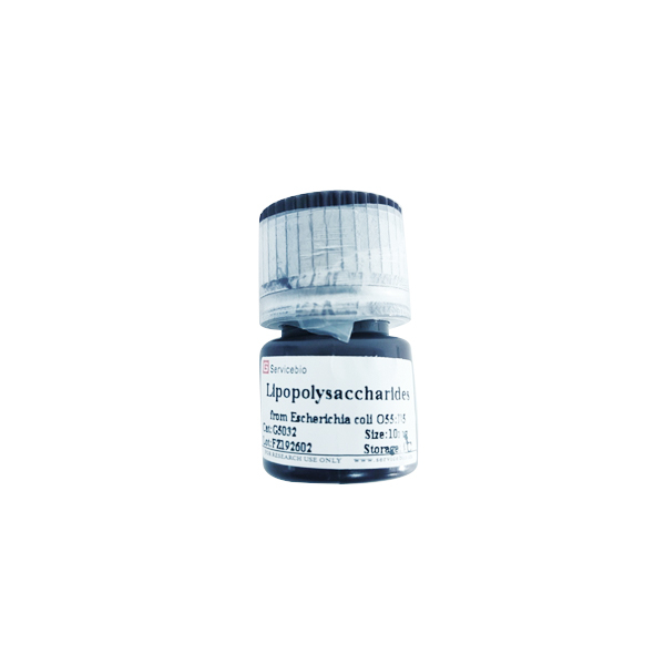 Lipopolysaccharides LPS-Zellkultur-Endotoxin