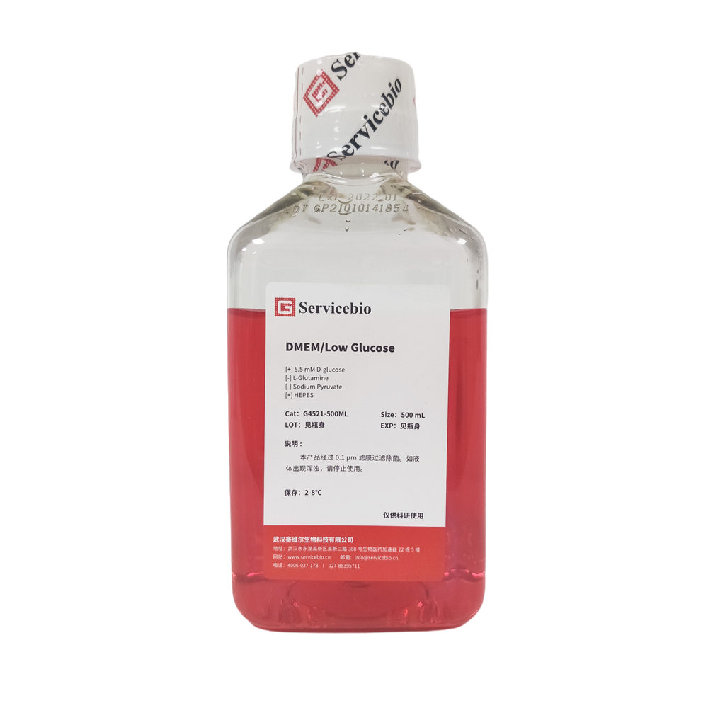 G4521-500ML DEME Niedriges Glucose-Kulturmedium für Hypoadhortyente Zelle