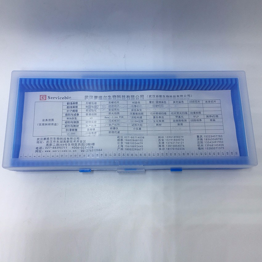 Mikroskop-Slide-Box 50 Slots transparente ABS-Folien Beispielhalter