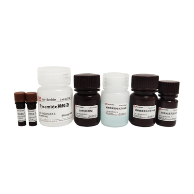 100T Tsaplus-Fluoreszenz-Doppelfärbung-Kit für doppelte Immunfluoreszenzfärbung von Paraffinabschnitten