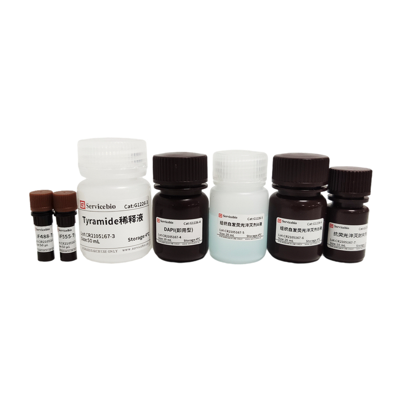 100T Tsaplus-Fluoreszenz-Doppelfärbung-Kit für doppelte Immunfluoreszenzfärbung von Paraffinabschnitten
