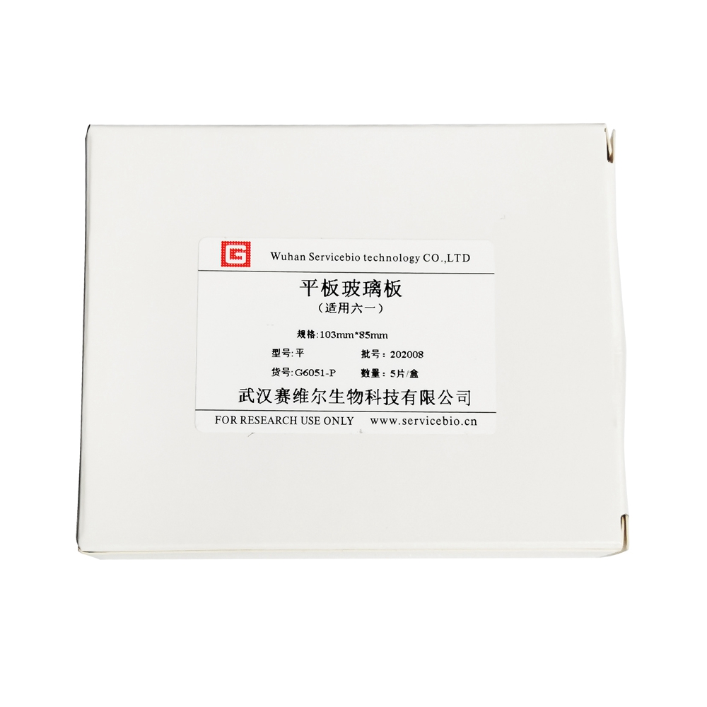 G6051-P Flache Glasplatte (für Marke Peking Liuyi)
